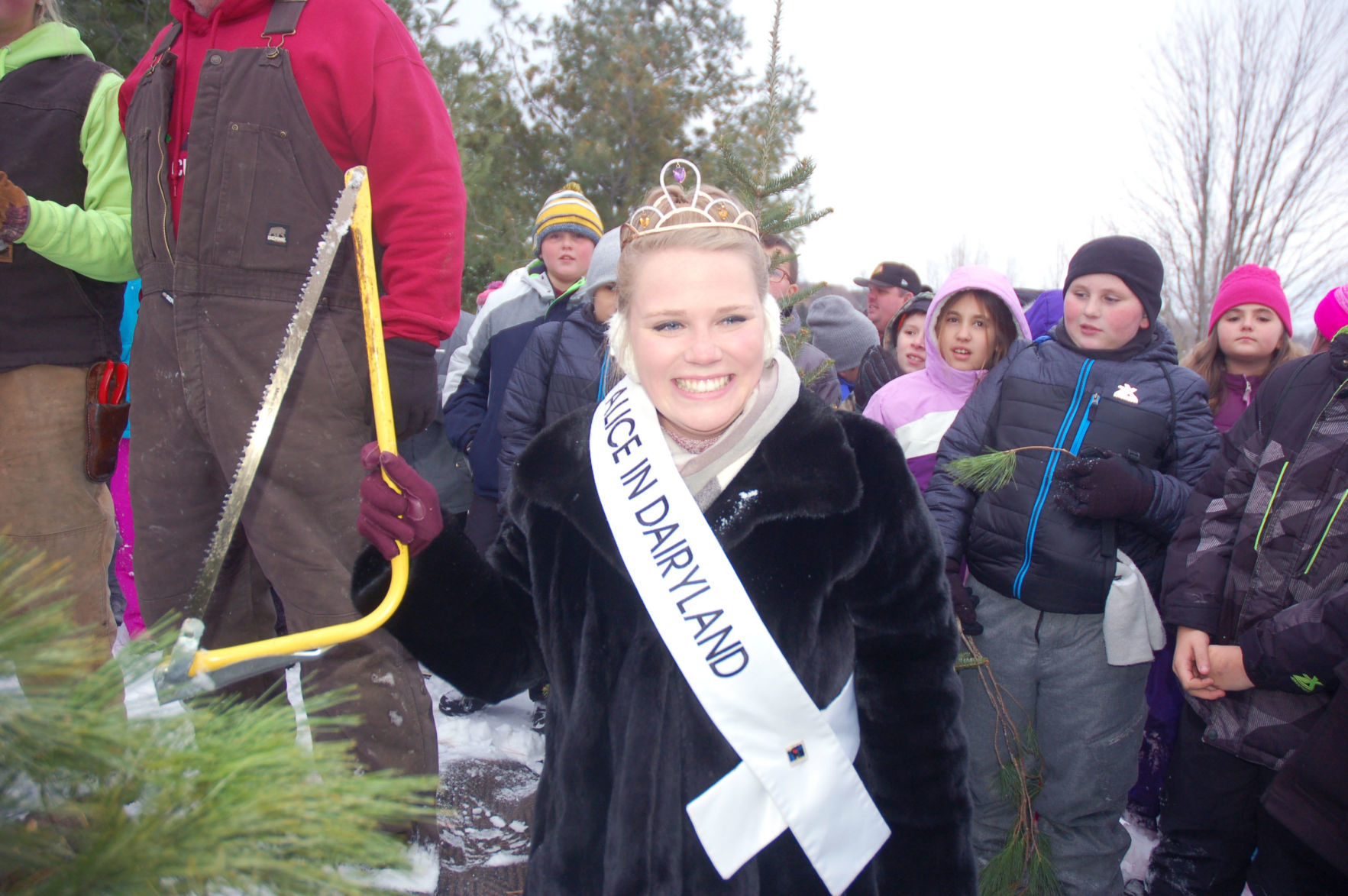 Alice in Dairyland at tree farm